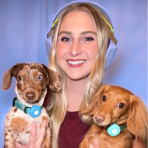 Jaszypizzazzy
