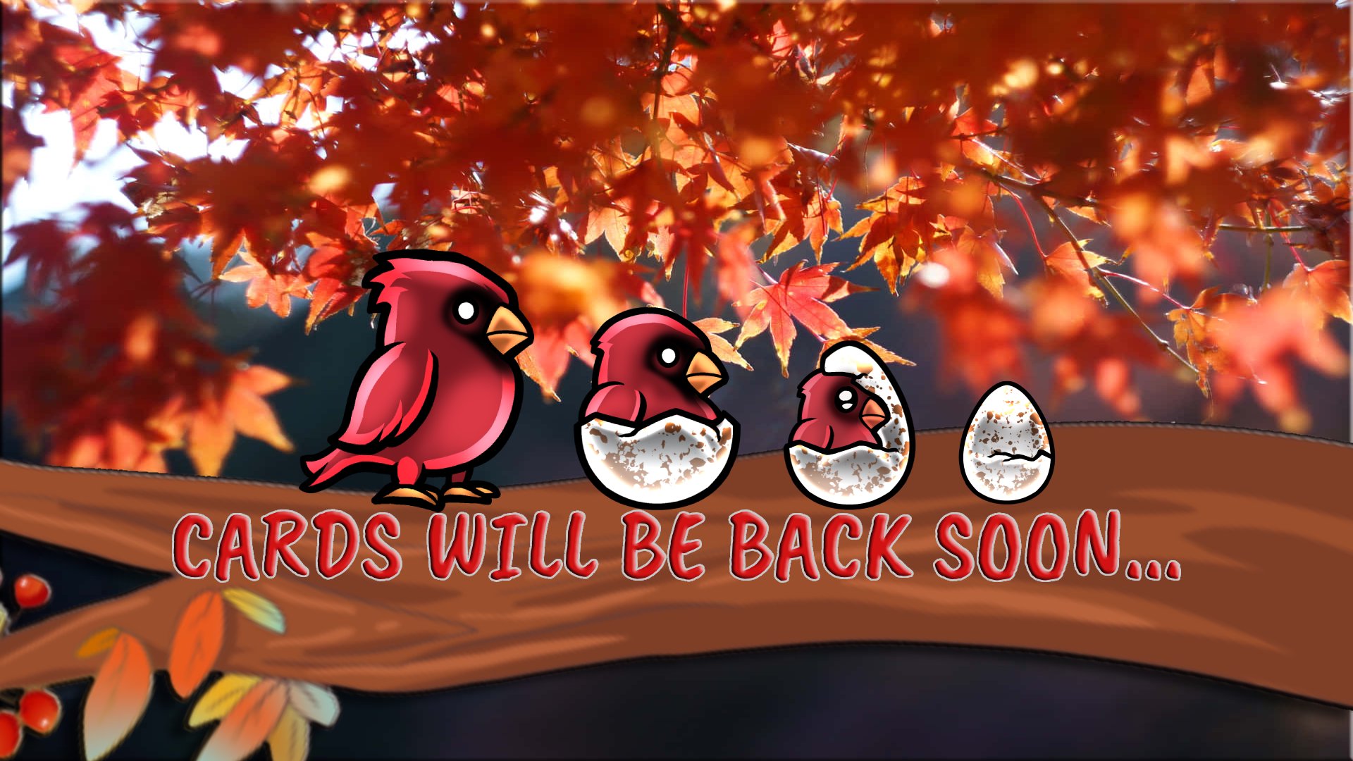 xCardsTV Offline Background