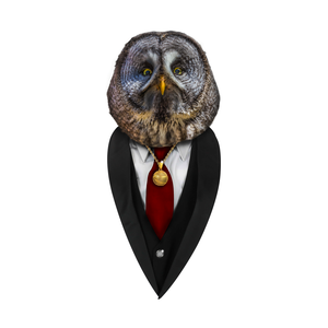 xTheRealOwlx