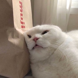 quanmaidac