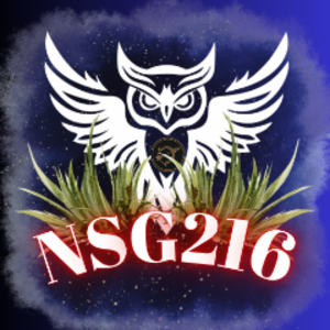nsg216_