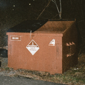 donnydumpster
