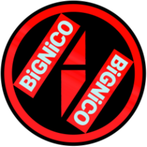 BiGNiCO_NiCO