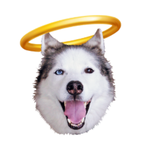 PaPaJDub