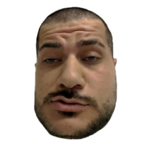hamedloco247