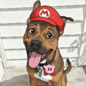 MrYoDawg