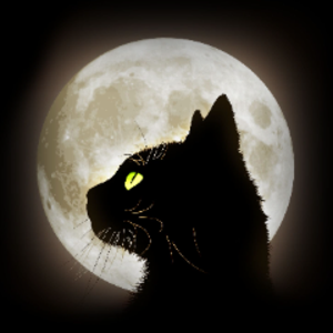 Lady_RockyCat