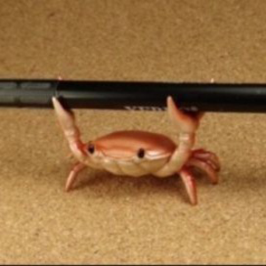 true_cowboy_shrimp