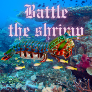 battletheshrimp