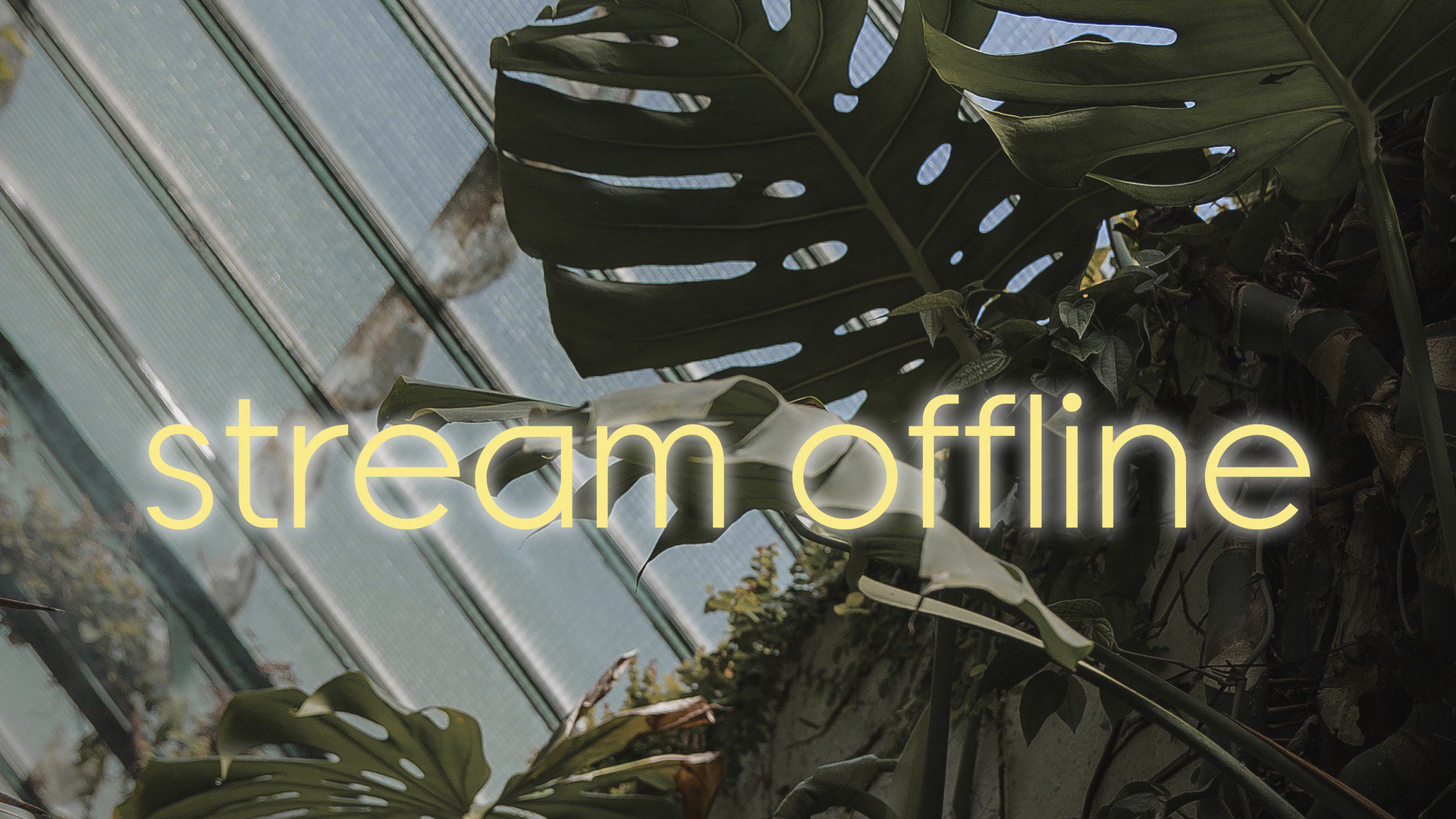 elisawaves Offline Background