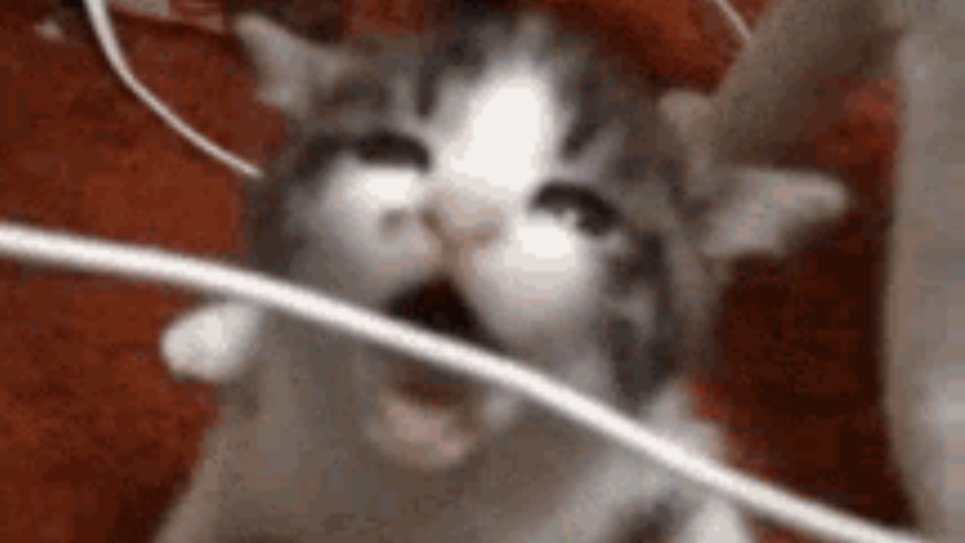 Cangremomos Offline Background