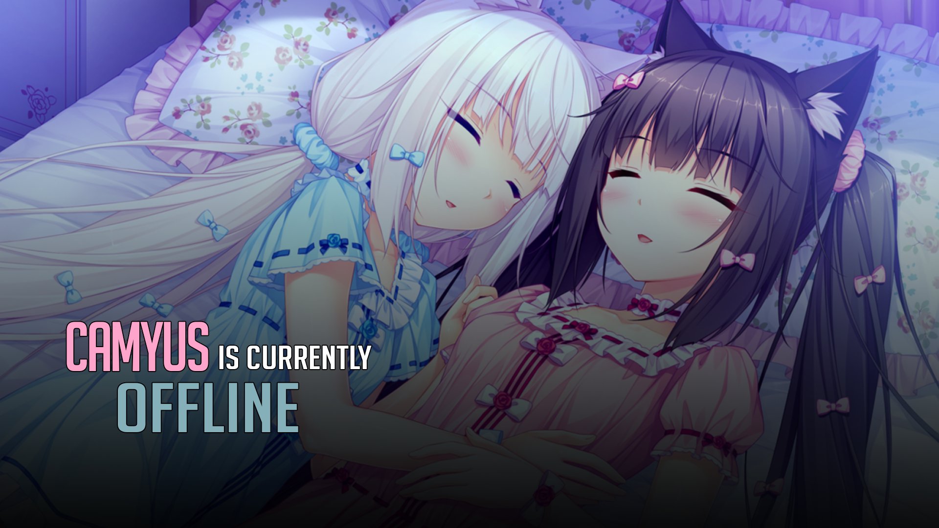 Camyus Offline Background