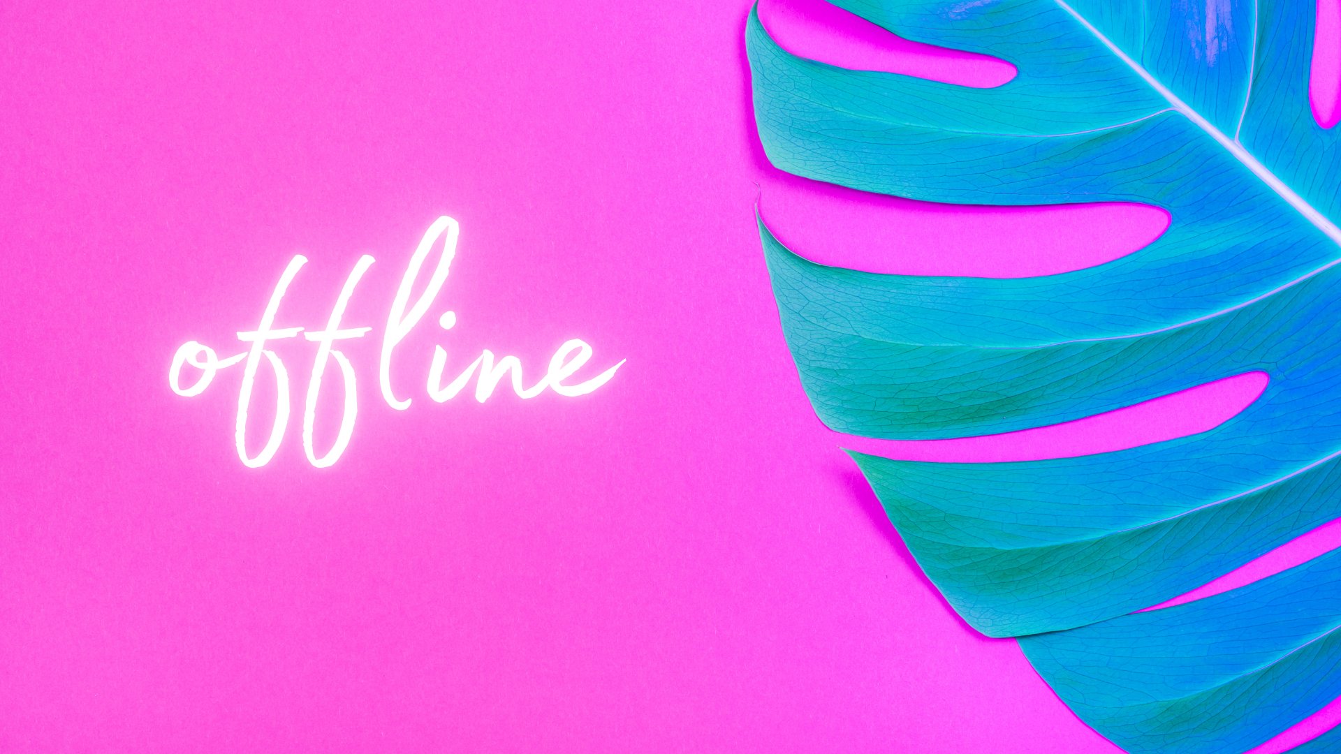 xoBagel Offline Background
