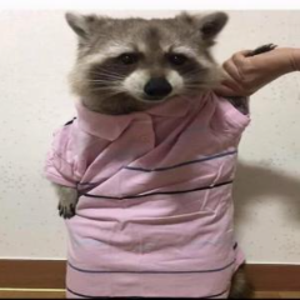 MistahBread_doe