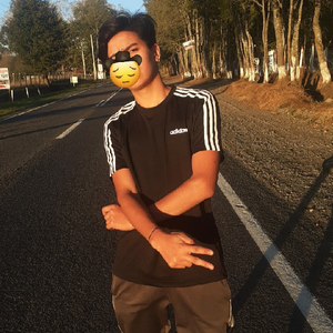 nisssj