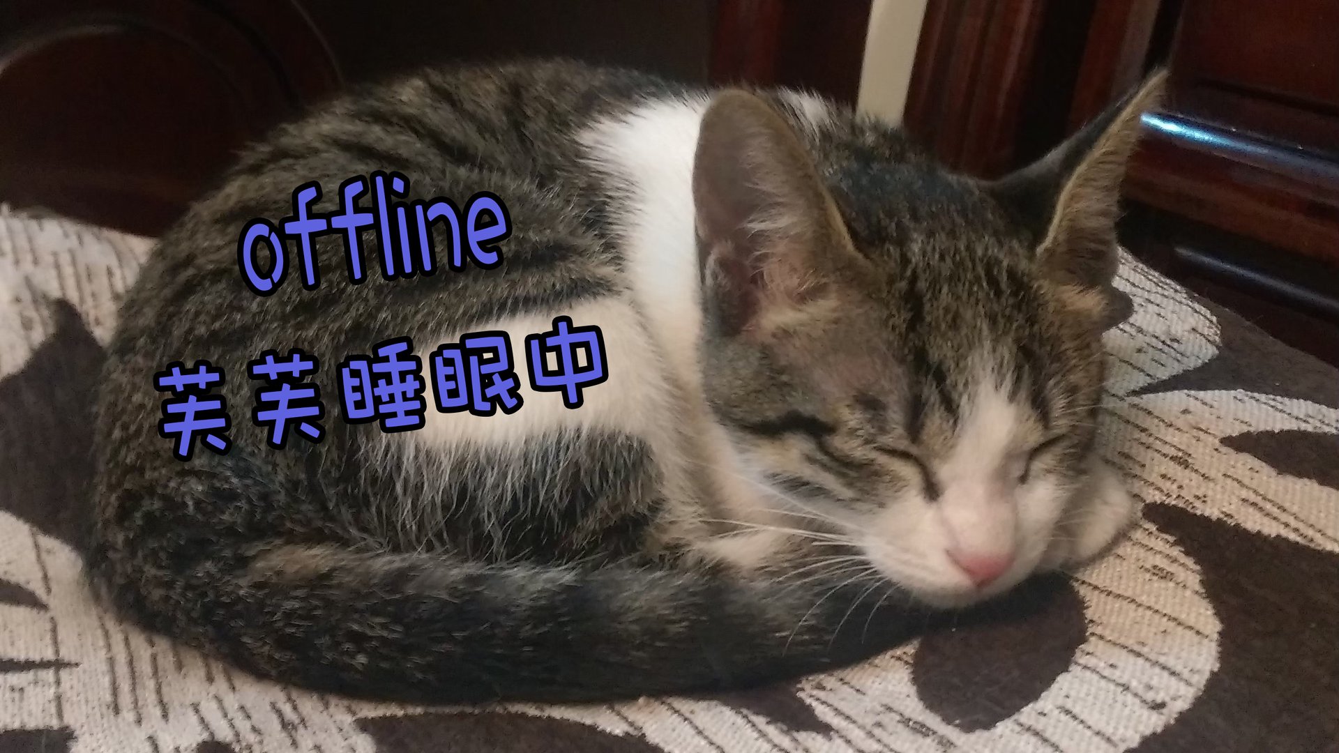 7eng Offline Background