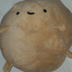 KartoffelAimR6