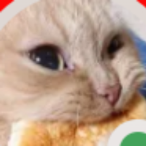 CasanovaDF
