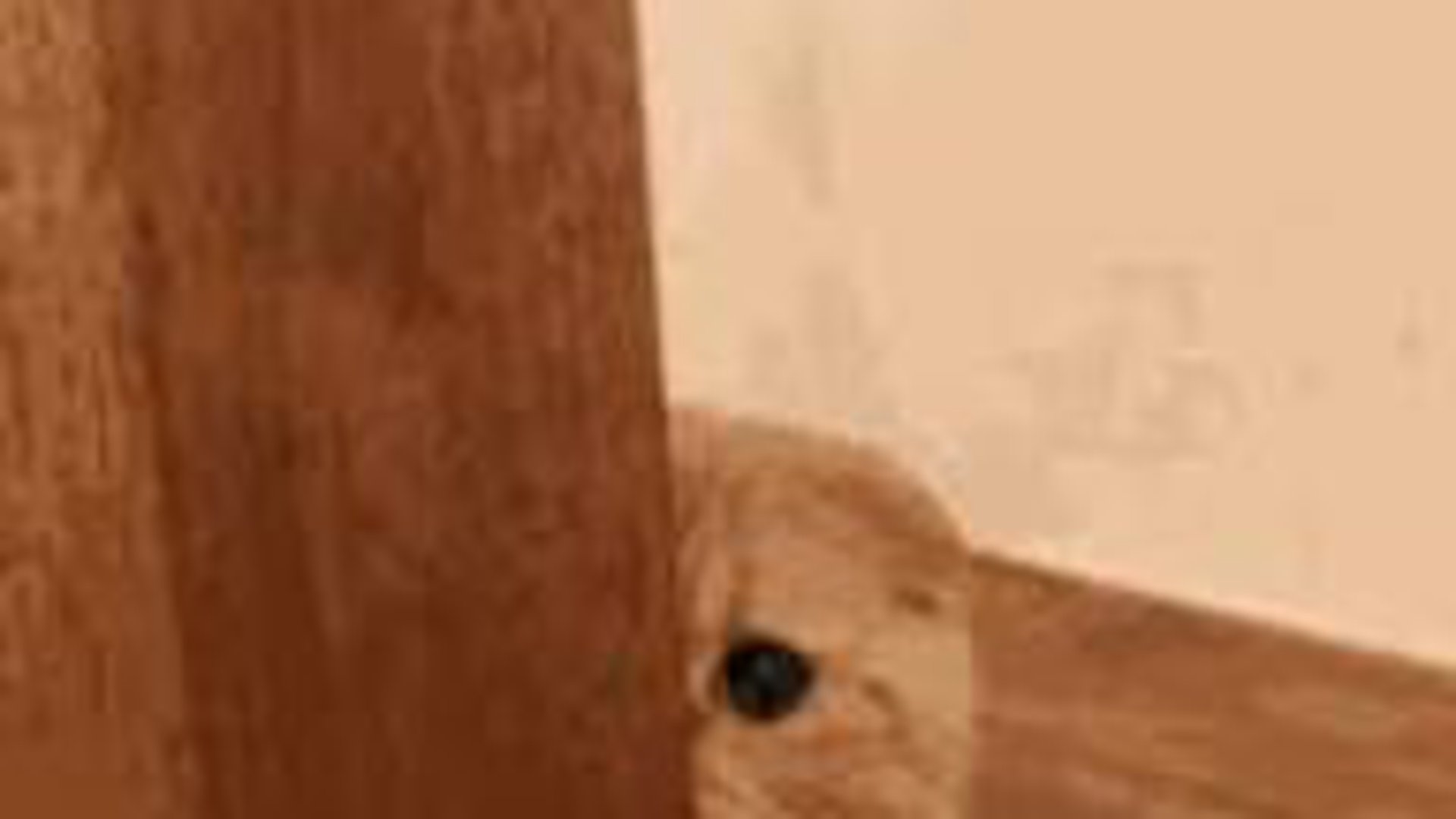 fluutato Offline Background