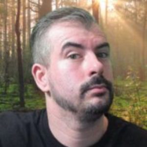 celticrobin