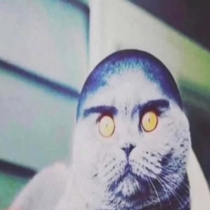 zipmops