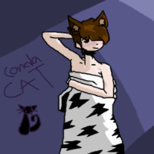 ConDaCat_