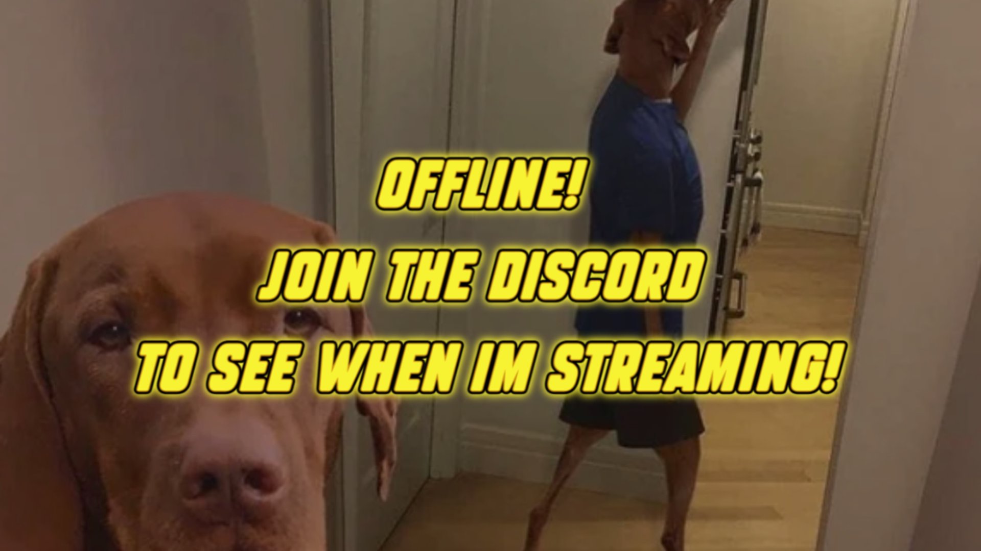 conorsanime Offline Background