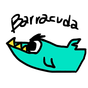 Barracuda1991