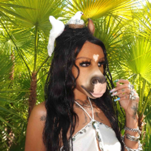 horsegiirlsteLLa
