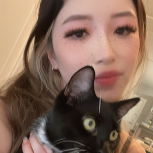 bbbootz
