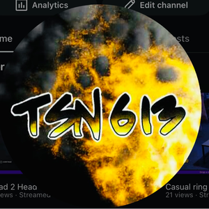 TSN_613