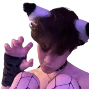zzackkennedy