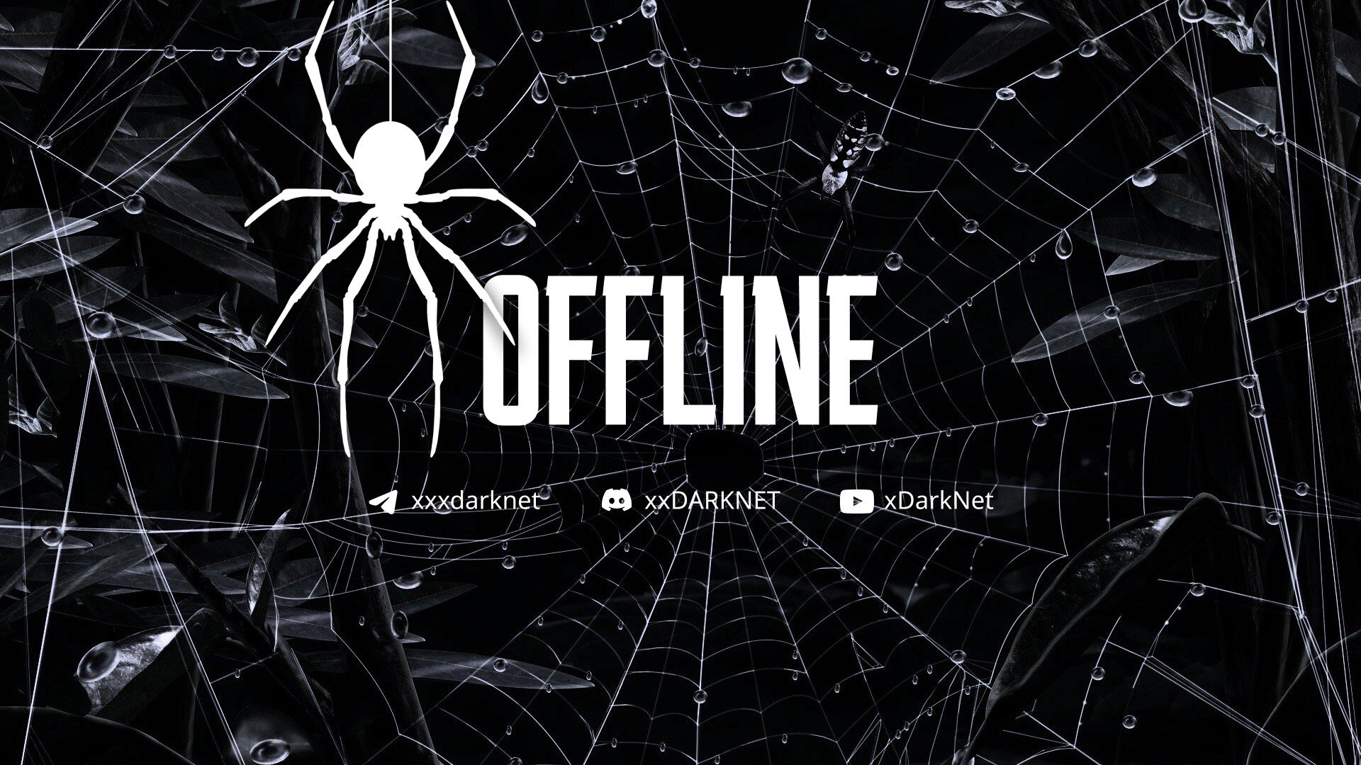 xxDarkNet Offline Background