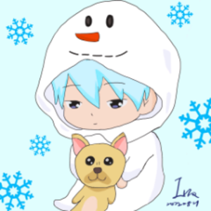 fallsnow700