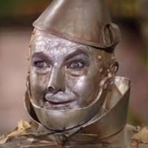 TinMan4747