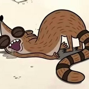 SgtRaccoon6