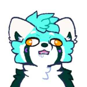 kora_panda