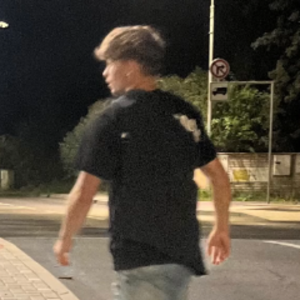 dend1xicek