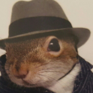 lolcolton_
