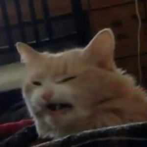 NoTime_stream