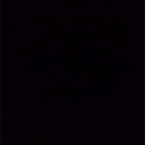 alfonsoo699