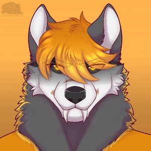 jaxwolfer