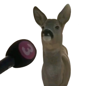 tntmster