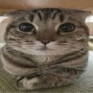 CriixChan