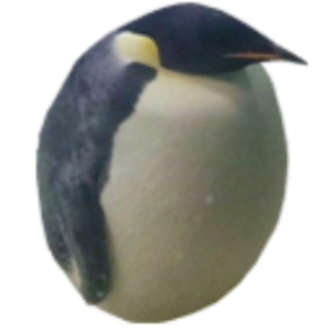 Fleh_