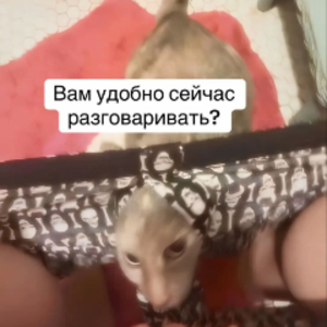 med10cr1ty_
