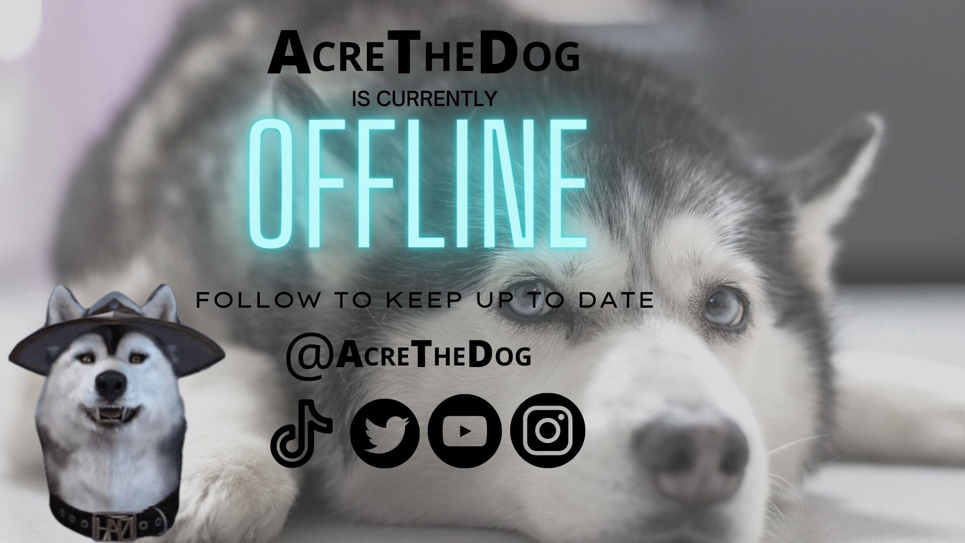 AcreTheDog Offline Background