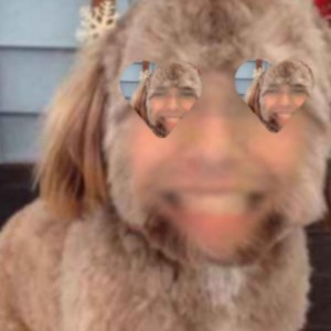 ramalocas