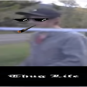 sub_WHISTLE