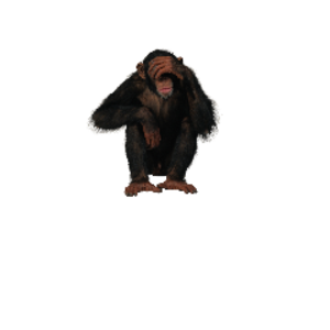 riiper84